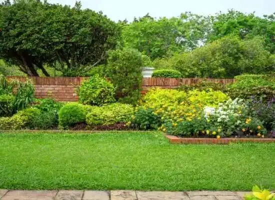 landscaping services East Williston